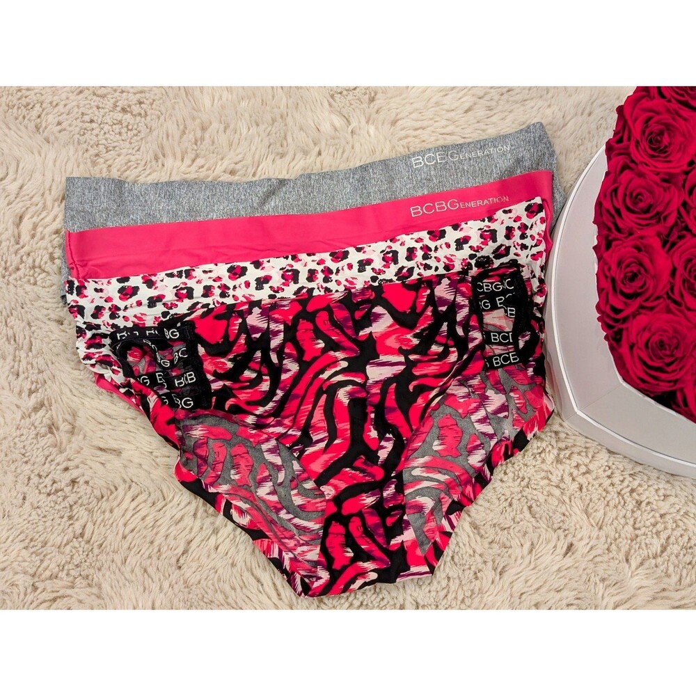 Pack of 4 BCBG Cheeky Panties Size L NEW